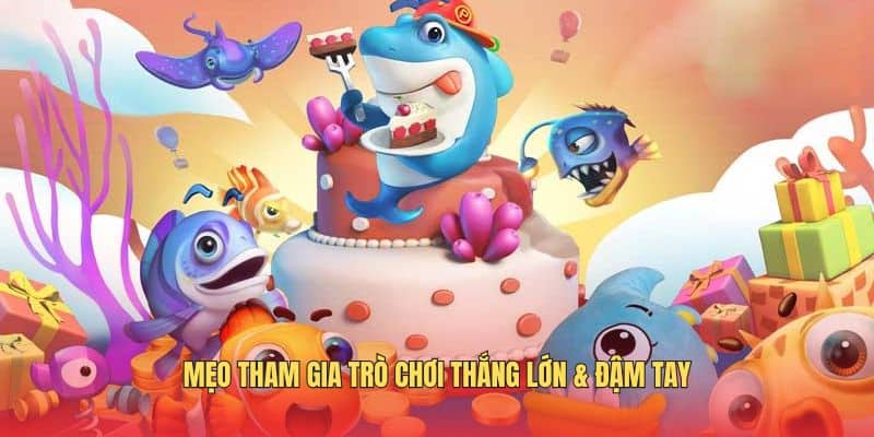 meo-tham-gia-tro-choi-thang-lon-dam-tay
